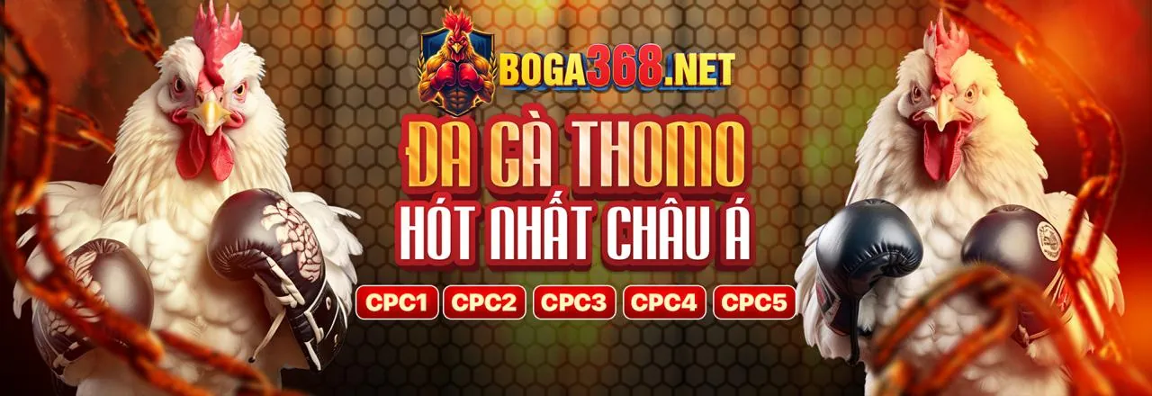 Nền tảng cá cược thể thao 13 win