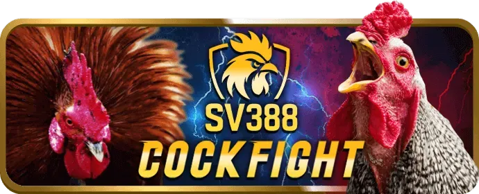 Mẹo chơi 13 win hiệu quả